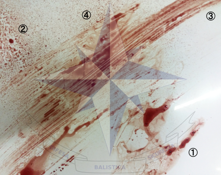 Bloodstain Pattern Analysis – Paride Minervini